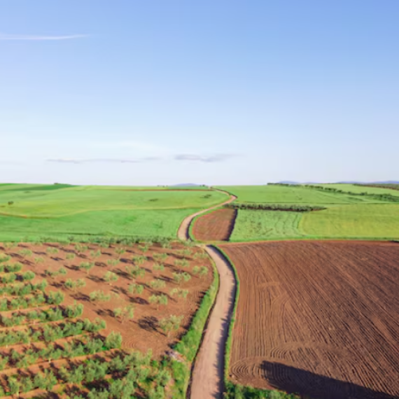 Farm